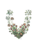 Preston Montague Venus Fly Trap Greeting Card