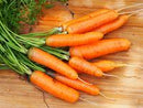 Scarlet Nantes (Coreless, Nantes Half Long) Carrot Seeds