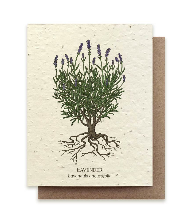 The Bower Studio Lavender Seeded Greeting Card