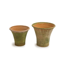 Aged English Planters