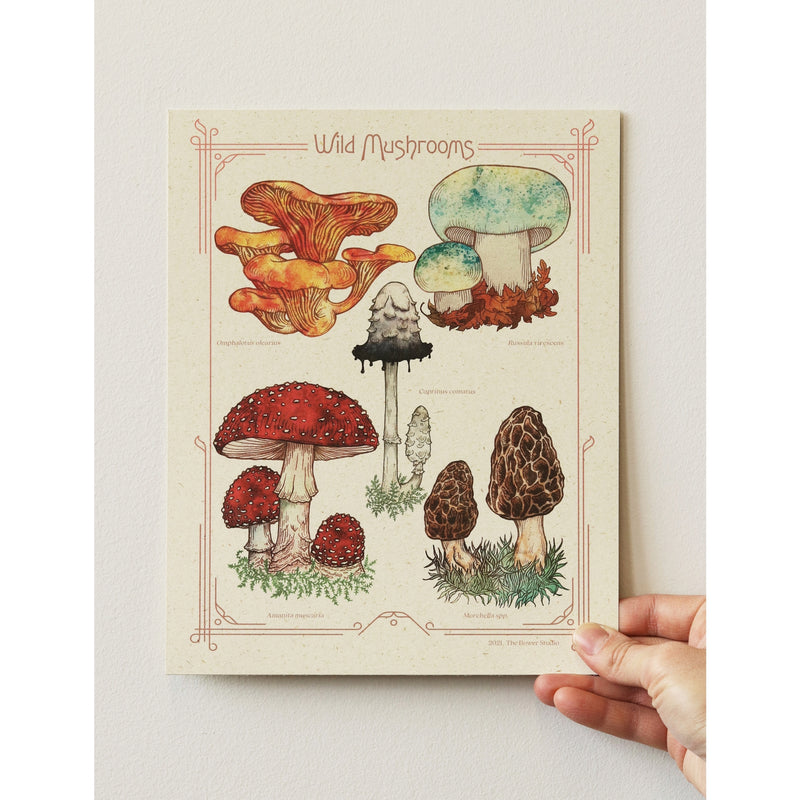 The Bower Studio Wild Mushrooms Print