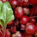 Detroit Dark Red Beet Seeds