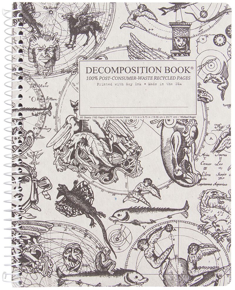 Gargoyles Decomposition Book