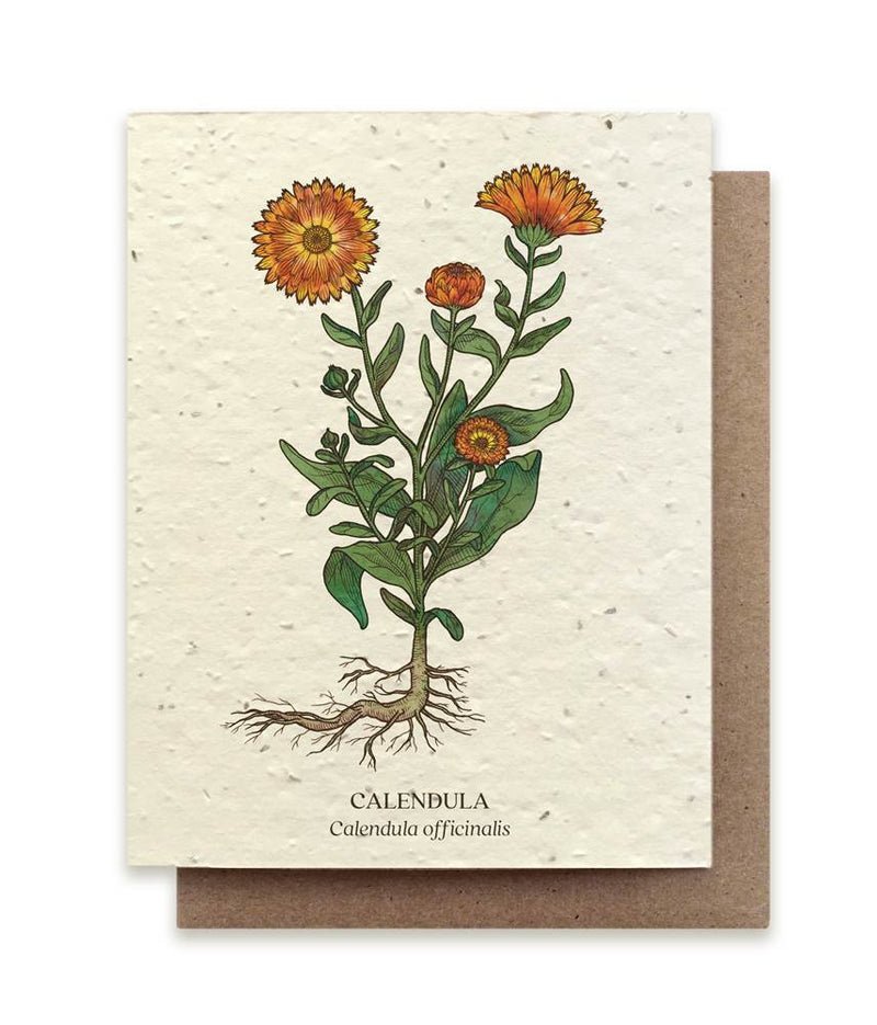 The Bower Studio Calendula Seeded Greeting Card