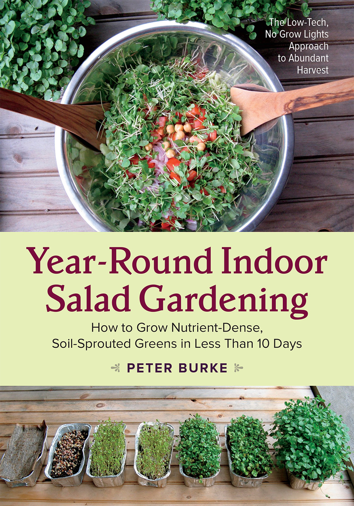 Year-Round Indoor Salad Gardening: How to Grow Nutrient-Dense, Soil-Sprouted Greens in Less Than 10 days