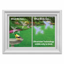 Hummingbird Bird Alert Window Decals - 4/pk