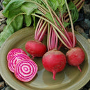 Beet: Guardsmark Chioggia Seeds