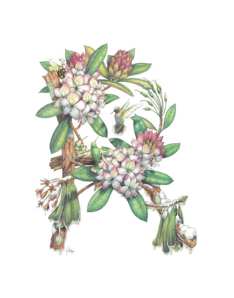 Preston Montague Rhododendron Greeting Card
