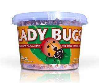 Orcon: Live Ladybugs-500 Cup