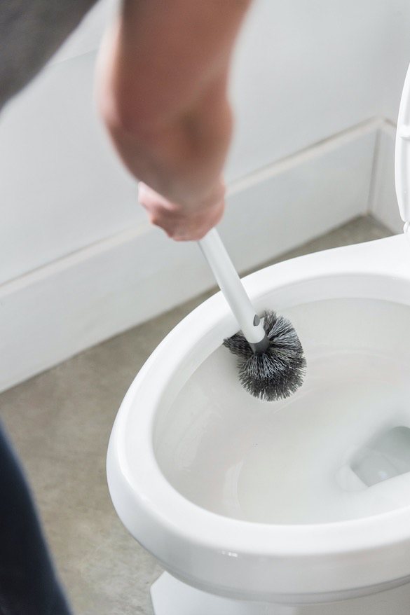 Scrub Queen Replaceable Toilet Brush