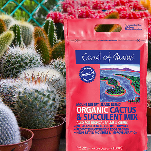 succulent soil ph Coast of Maine Mount Desert Island Organic Cactus & Succulent Soil Mix