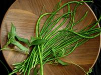 Liana Asparagus Bean Seeds
