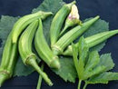 Clemson Spineless Okra Seeds
