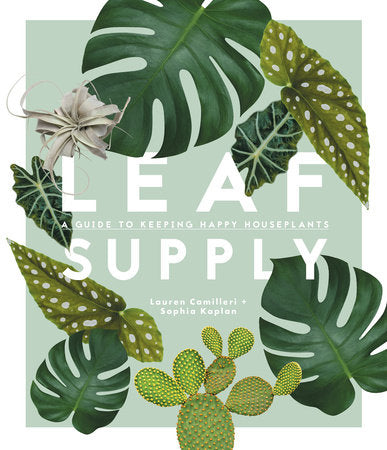 Leaf Supply: A Guide to Keeping Happy Houseplants