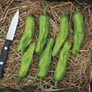 Shishito Pepper Seeds