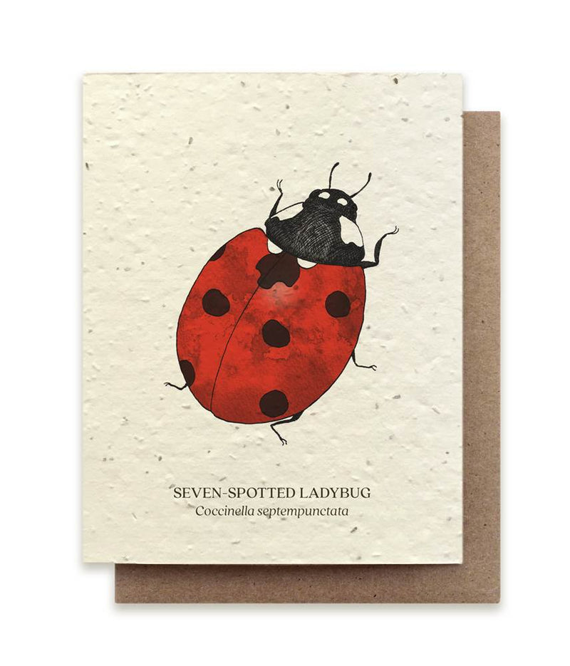 The Bower Studio Ladybug Seeded Greeting Card