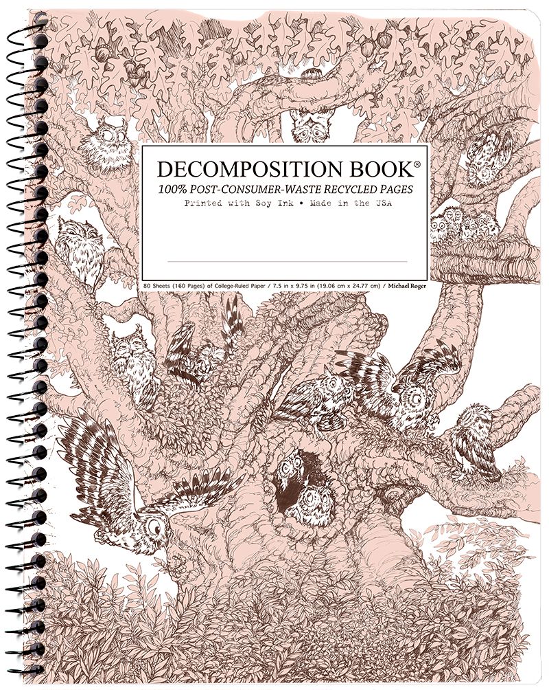 Screech Owls Decomposition Book