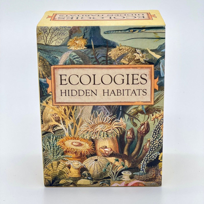 Ecologies Hidden Habitats Card Game