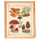 The Bower Studio Wild Mushrooms Print