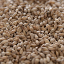 Thomas Fawcett Golden Promise Malt