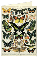 Cavallini Papers Butterflies Greeting Card