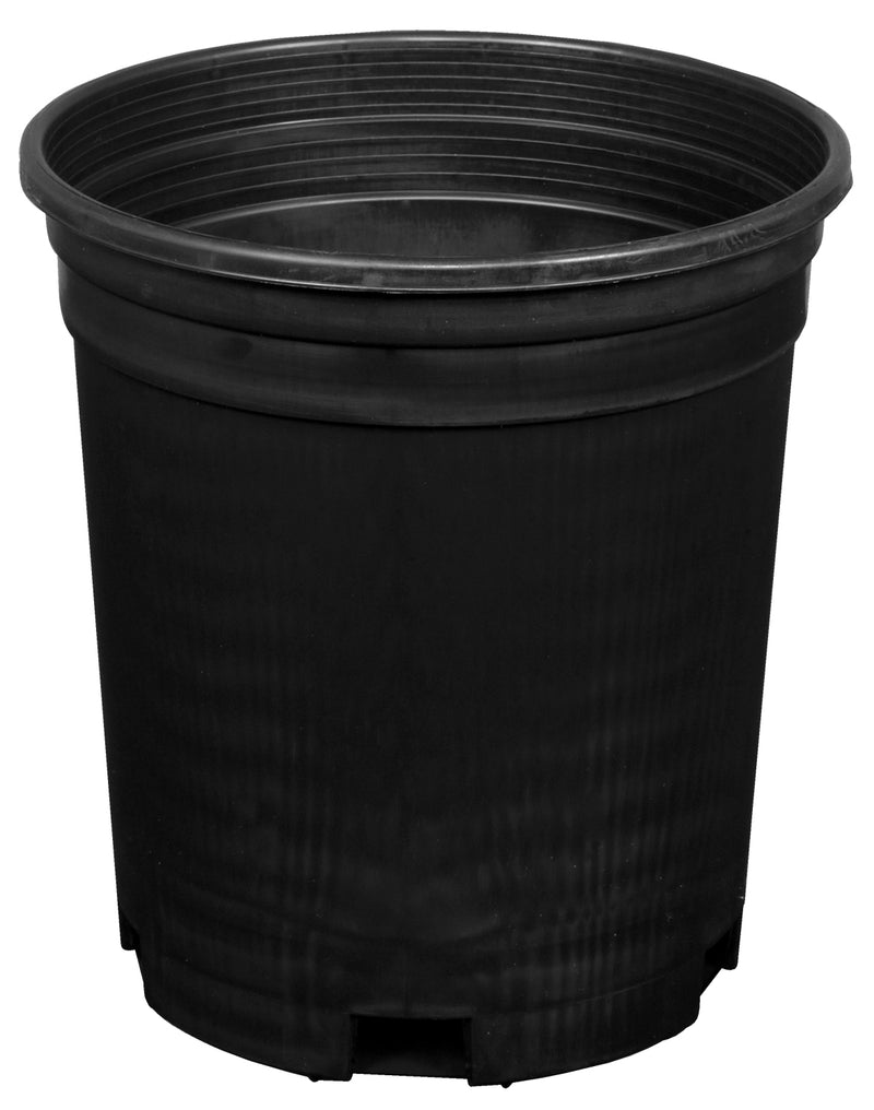 Black Plastic Nursery Pot - 1 gallon