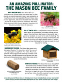 Welliver Standard Mason Bee House