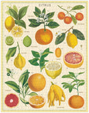 Citrus Puzzle-1000 Piece