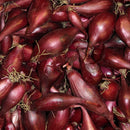 Whethersfield Type Red Onion Sets