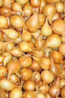 Stuttgarter Riesen Type Yellow Onion Sets