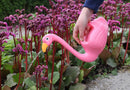 Flamingo Watering Can