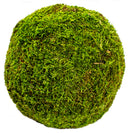 SuperMoss Fresh Green Moss Balls - Assorted Sizes