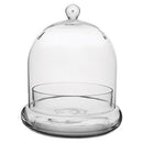 Syndicate: Terrarium Cloche-7x8.25 in