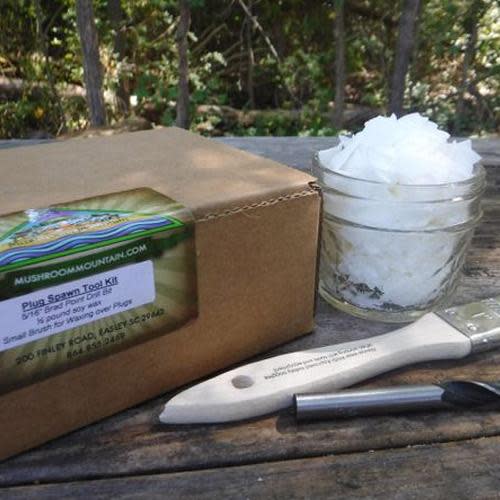 Grow Your Own Mushroom Logs Starter Kit