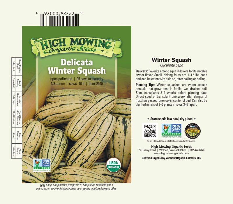 planting delicata squash seeds Squash: Delicata Seeds