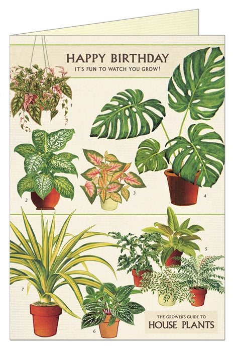 Cavallini Papers Happy Birthday House Plants Greeting Card