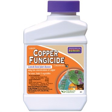 Bonide Organic Copper Fungicide