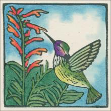 Hummingbird Gift Enclosure