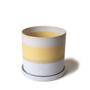 Mofo Minute Pots with Saucer - 6 in