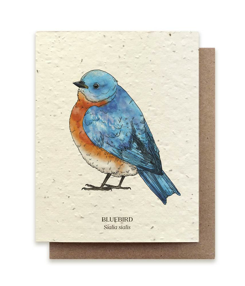 The Bower Studio Bluebird Seeded Greeting Card