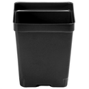 Deep Square Pot - 4.5 in