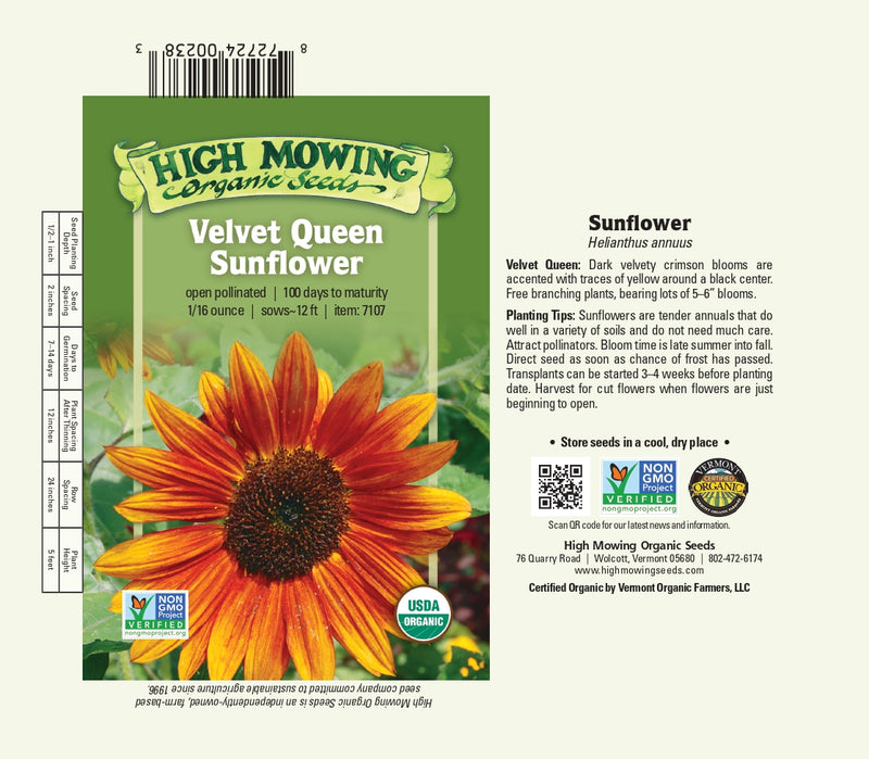 Velvet Queen Sunflower Seeds