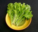 Mustard Green: Southern Giant Curled Seeds