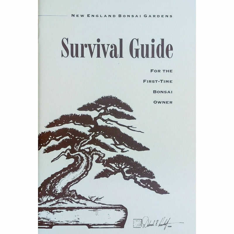 Bonsai Survival Guide