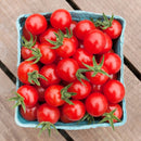 Matt's Wild Cherry Tomato Seeds