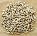 Murphy & Rude Biscuit Malt