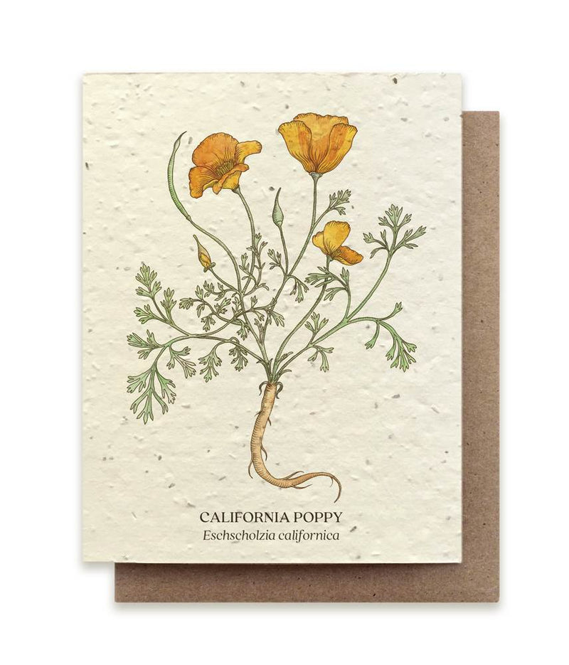 The Bower Studio California Poppy Seeded Greeting Card