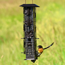 Perky-Pet® Squirrel-Be-Gone® 6-Port Squirrel Proof Bird Feeder