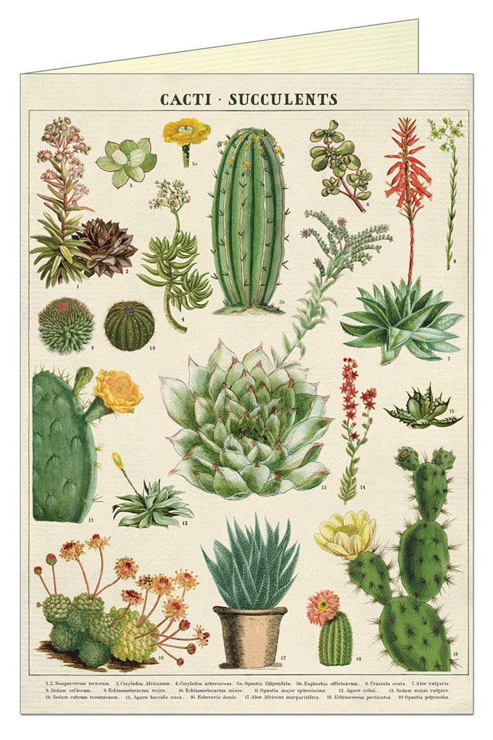 Cavallini Papers Cacti & Succulents Greeting Card