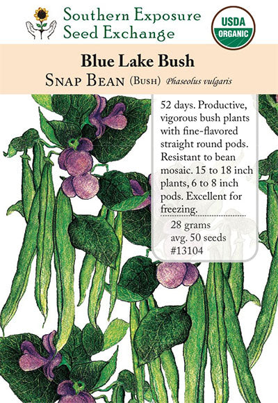 inch plant seeds Blue Lake Bush Snap Bean Organic